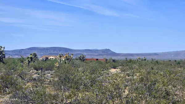 Yucca, AZ 86438,5558 E Red Barrel Rd