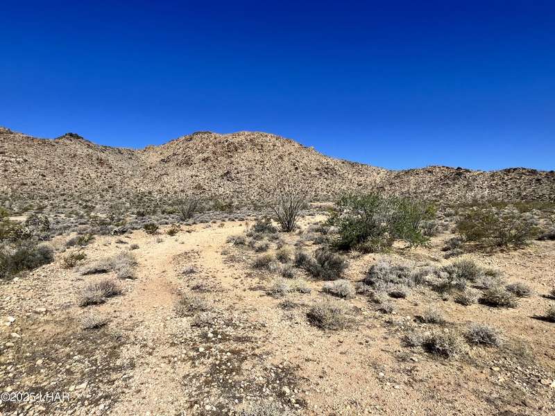 0 Roy Rogers Rd, Yucca, AZ 86438