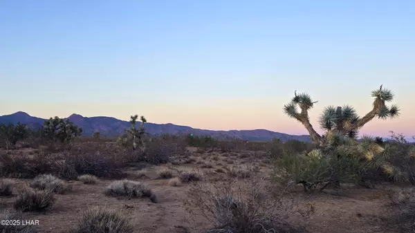 225 S Dead Eye Rd, Yucca, AZ 86438