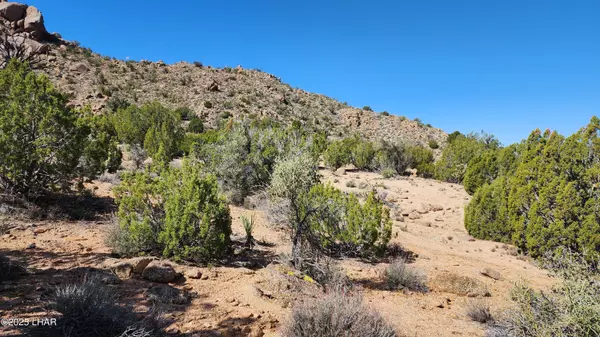 Yucca, AZ 86438,3288-C E Sun Valley Dr