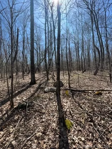 37 Weeks Road West, Eastford, CT 06242