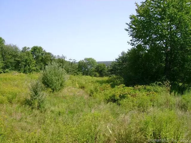 LOT 38 Starview Way, East Hampton, CT 06424