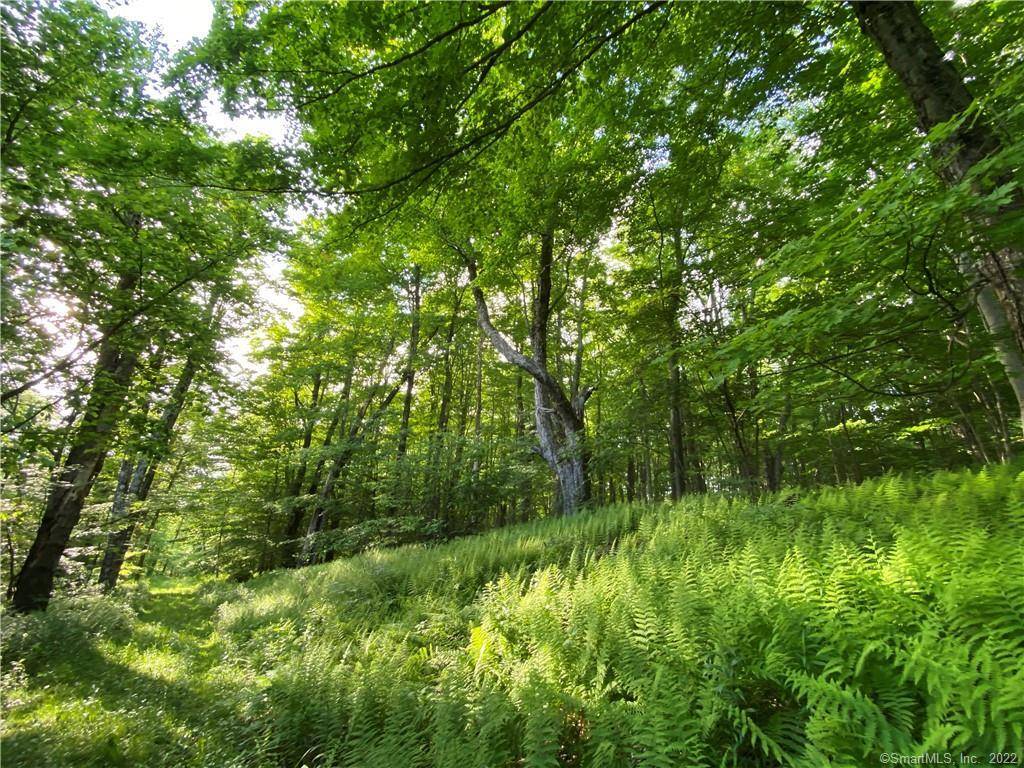Norfolk, CT 06058,00 Greenwoods Road East