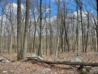 38 Mountain Road, Redding, CT 06896