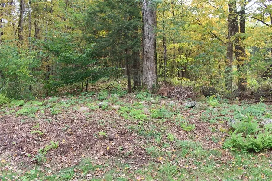 00 Riverton Road, Hartland, CT 06027