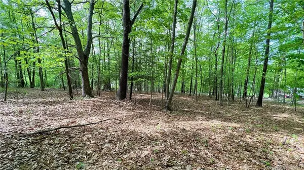 Mansfield, CT 06250,0 Storrs Road #2