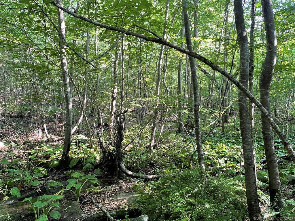 221 Mansfield Road, Ashford, CT 06278
