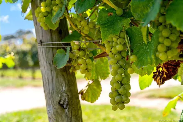 Clinton, CT 06413,115 Cow Hill Road