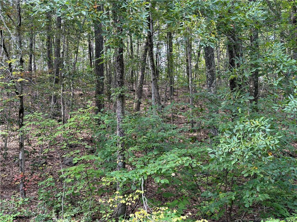 Warren, CT 06754,00 Above All Road