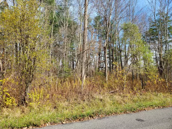 Goshen, CT 06756,Brynmoor Court #WL Lot #556