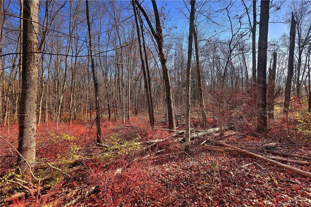 Oxford, CT 06478,81 Oneil Road