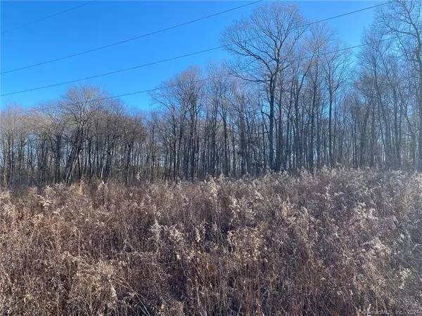 Watertown, CT 06795,Lot#16 Highmeadow Road