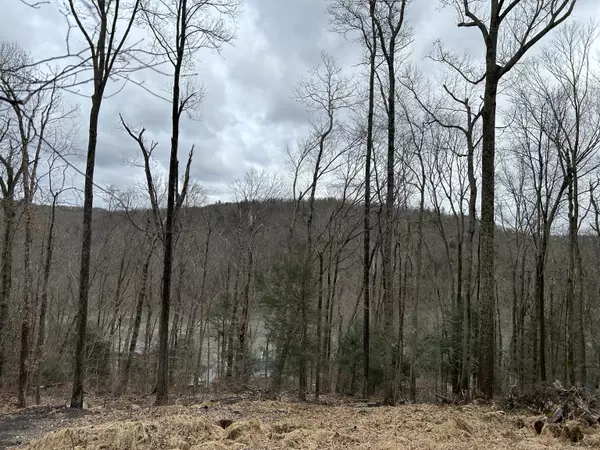 Newtown, CT 06482,30 Cedarhurst Trail