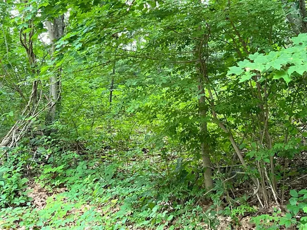 Portland, CT 06480,402 Cox Road ## 8