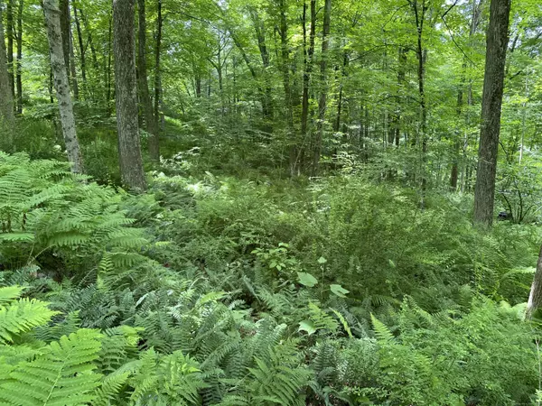 Sharon, CT 06069,Lot 2 0 Silver Hill Road