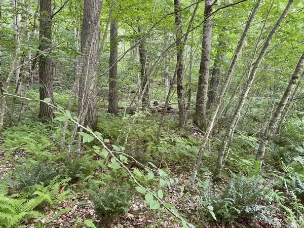 Sharon, CT 06069,Lot 8 0 Silver Hill Road