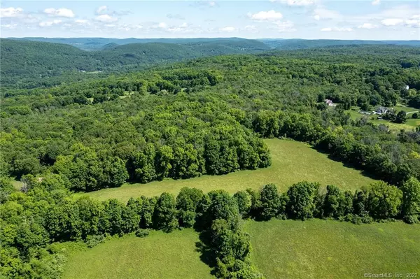New Milford, CT 06776,0 Chestnut Land Road