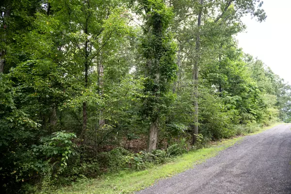 Branford, CT 06405,86 pine orchard Road