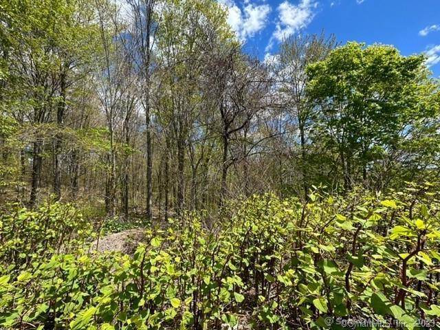Westledge Terrace #LOT 19, Torrington, CT 06790