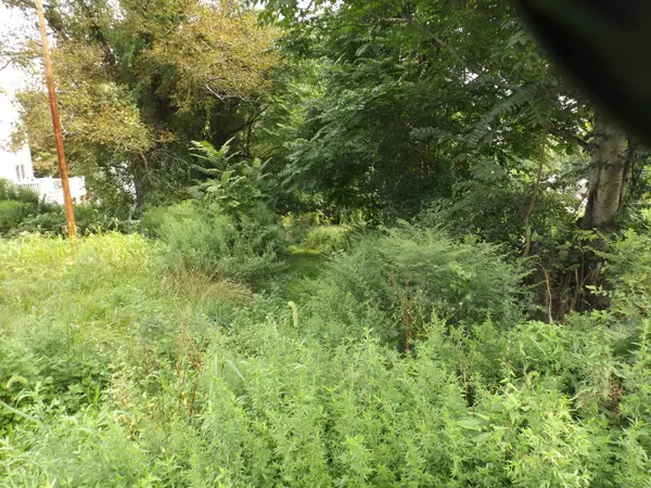 Bridgeport, CT 06602,916 Hart Street