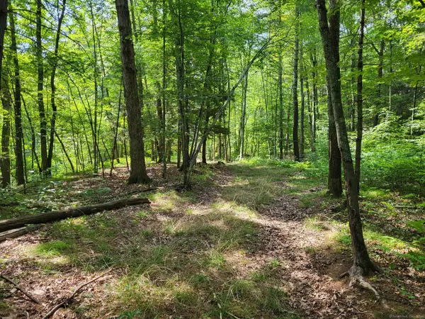 Woodstock, CT 06281,000 Green Road