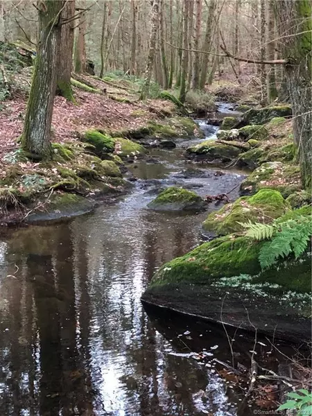 65 Meyers Road, Plymouth, CT 06786