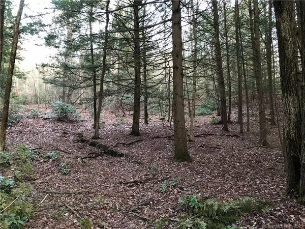 Plymouth, CT 06786,65 Meyers Road