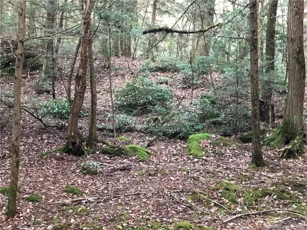 Plymouth, CT 06786,65 Meyers Road