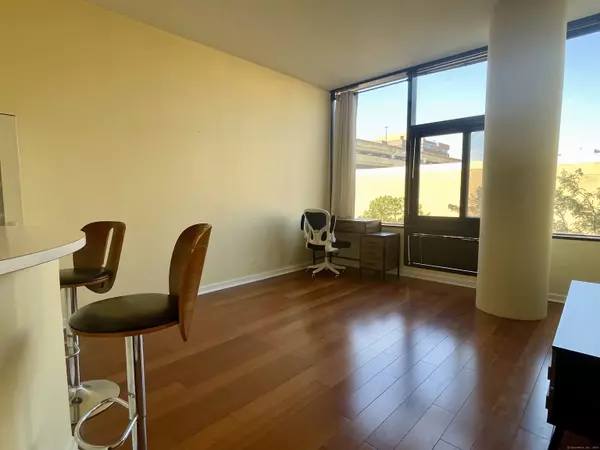 Stamford, CT 06901,127 Greyrock Place #APT PL4