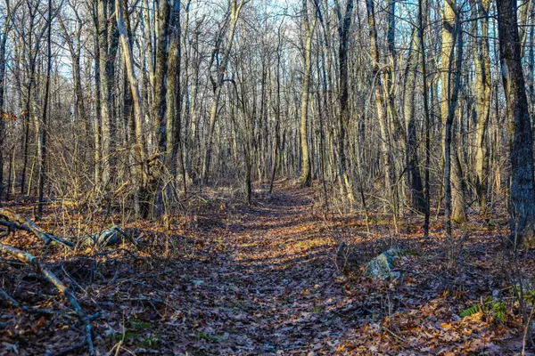 Warren, CT 06754,145 Angevine Road