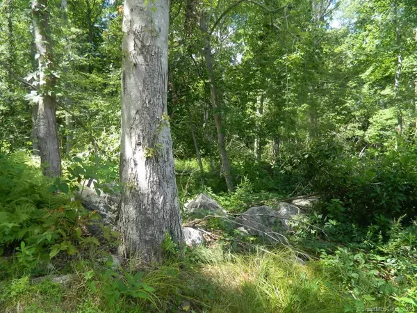 Old Lyme, CT 06371,184 Shore Road