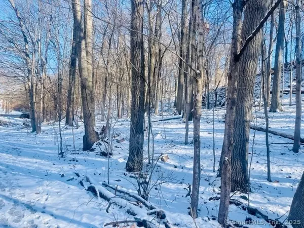 Hamden, CT 06514,71 Dunbar Hill Road