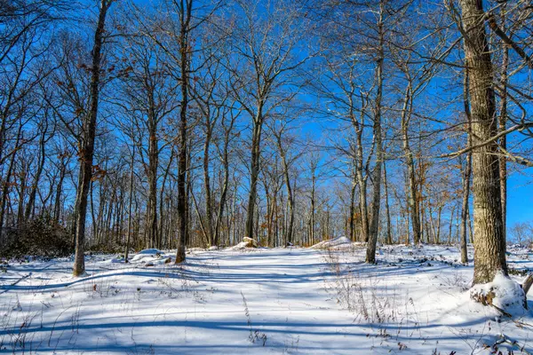Sharon, CT 06069,00 Westwoods Lot#2 Road