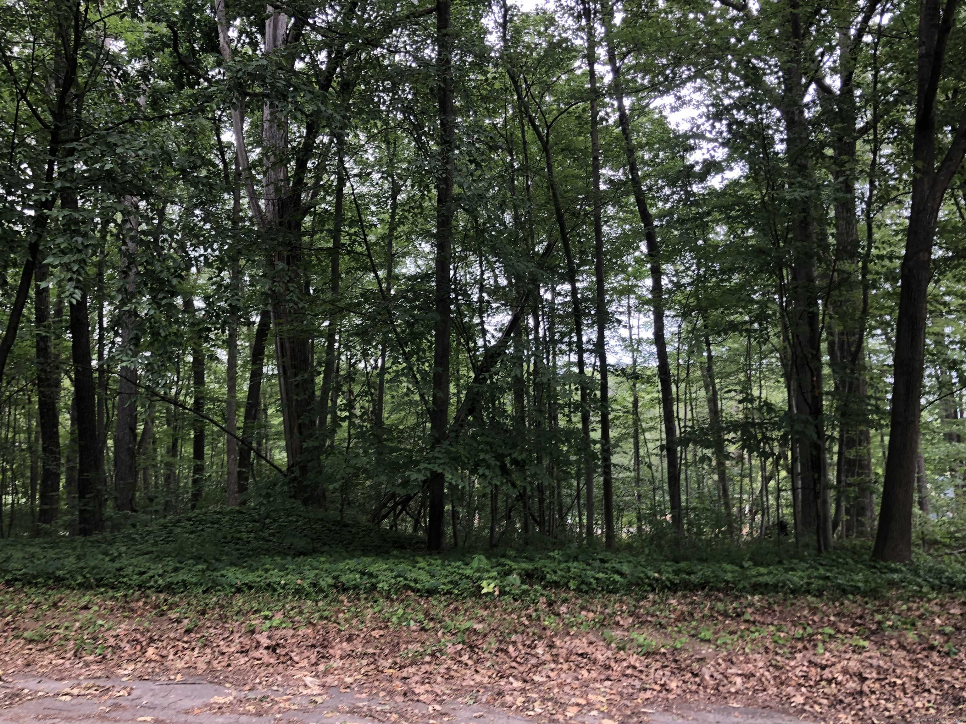 Plymouth, CT 06786,20 Coral Drive
