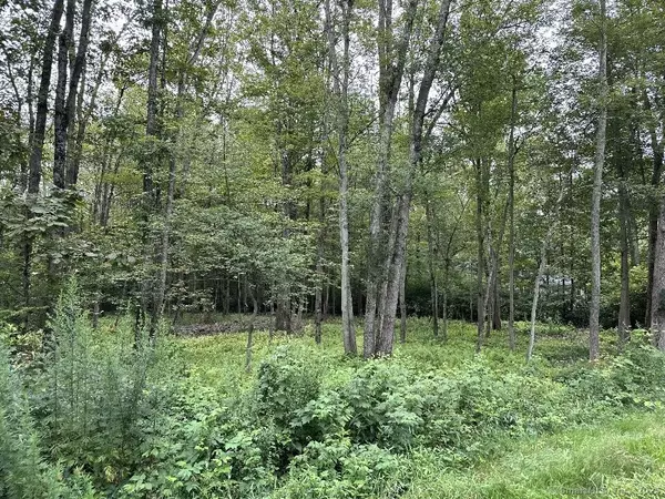 Pomfret, CT 06230,834 Hampton Road
