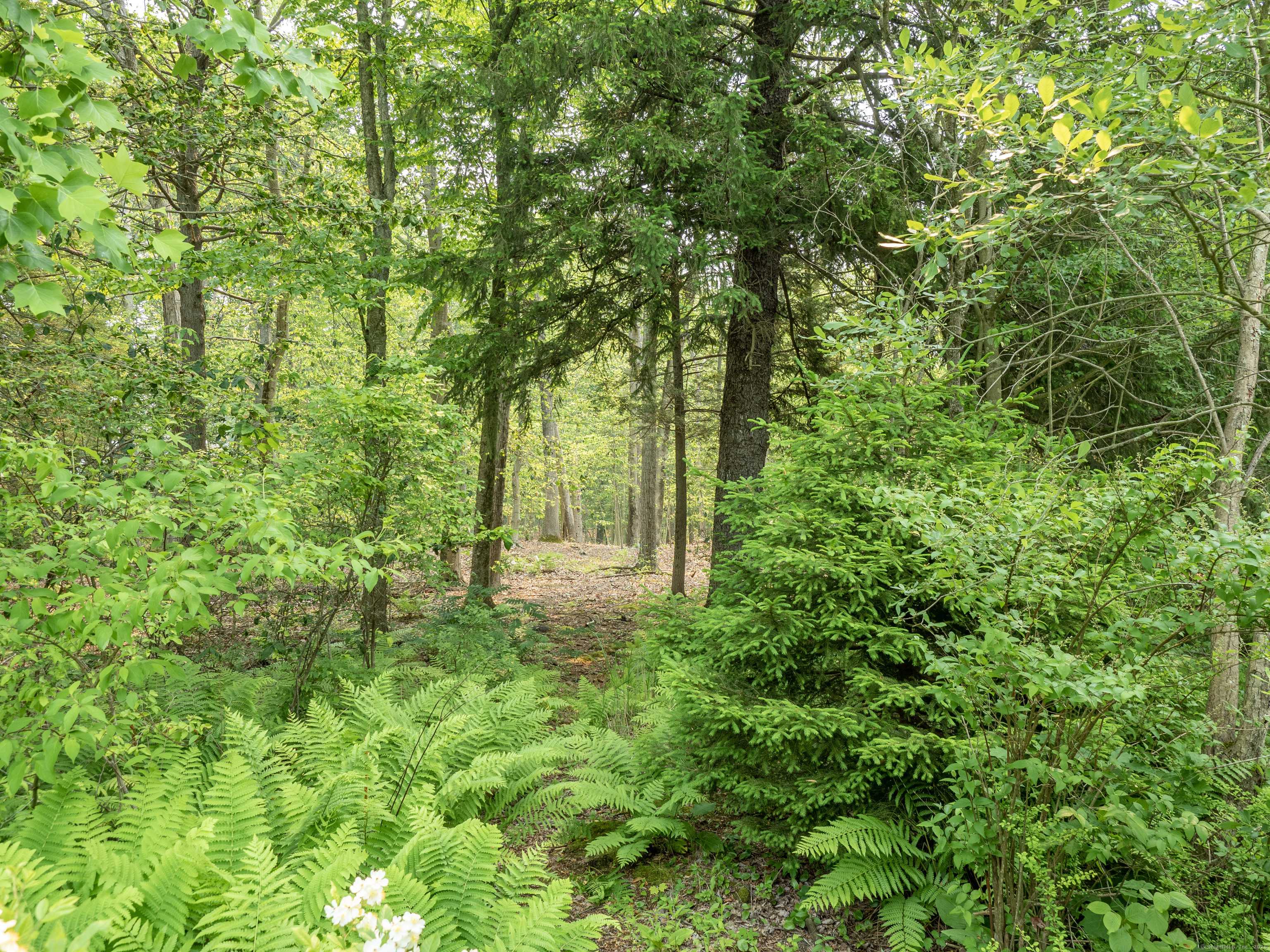 South Salem Road, Ridgefield, CT 06877