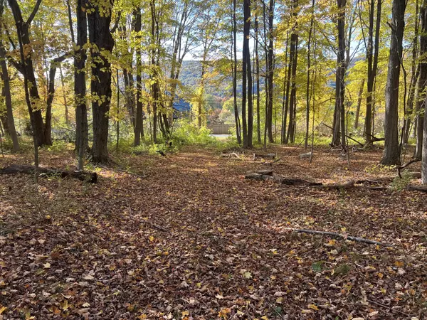 Kent, CT 06757,Spooner Hill Road