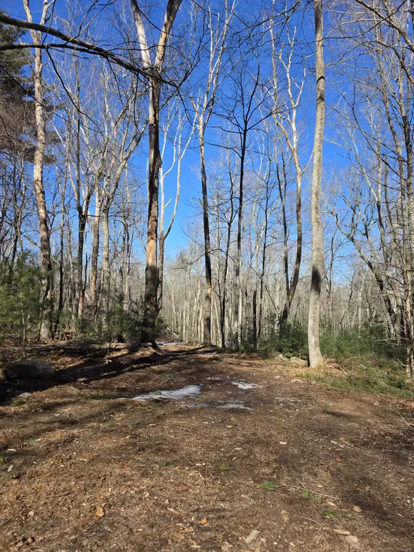 Pomfret, CT 06259,338 Lot 1-1 Brooklyn Road