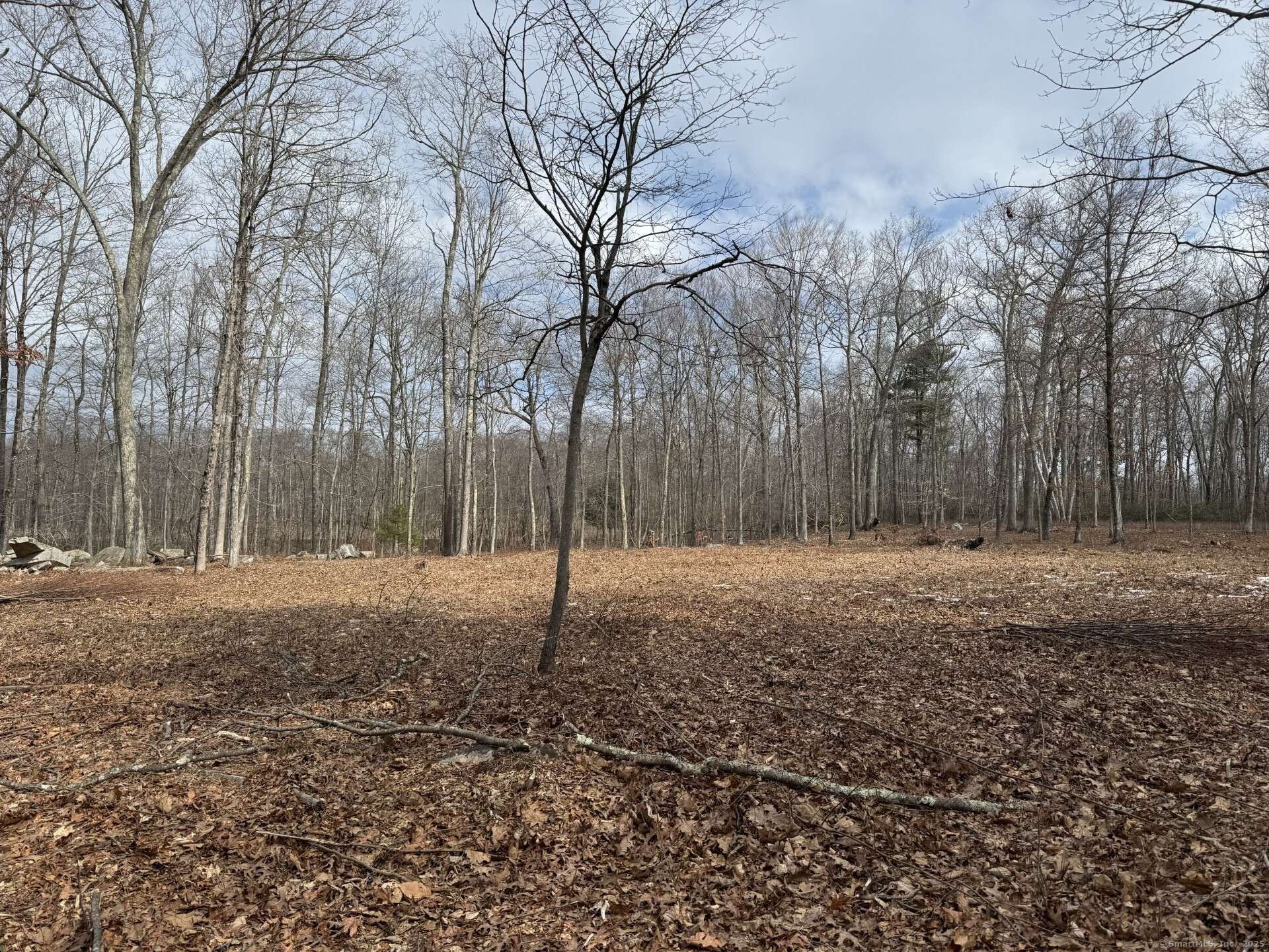 Warren, CT 06754,00 Milton Road