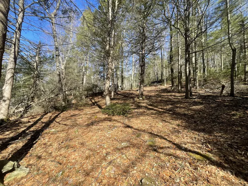 50 Pine Road, Colebrook, CT 06021