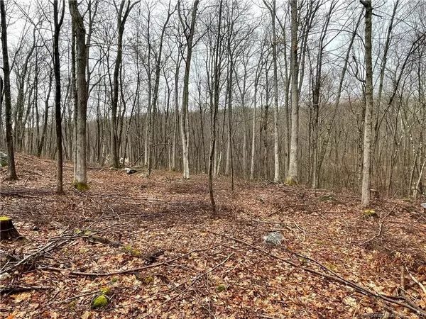 Sharon, CT 06069,4 Westwoods Road 2