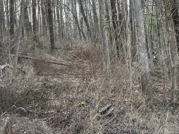 Litchfield, CT 06759,00 Torrington Road