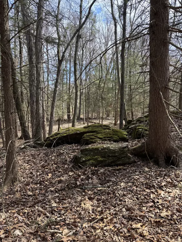 Roxbury, CT 06783,Lot 4 Chalybes Road West