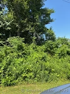 Litchfield, CT 06759,115 McBride Road