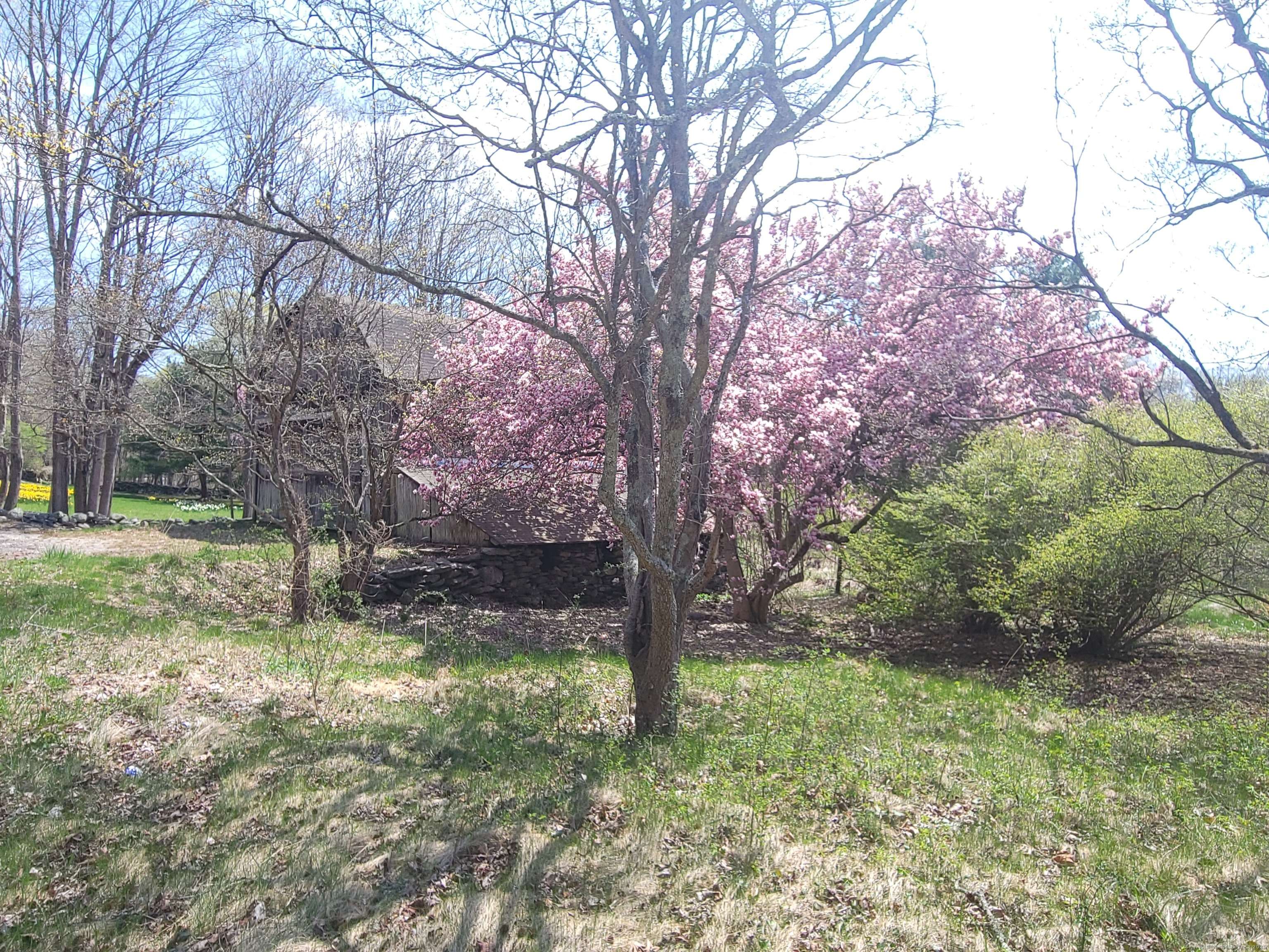 Mansfield, CT 06250,Mansfield City Road
