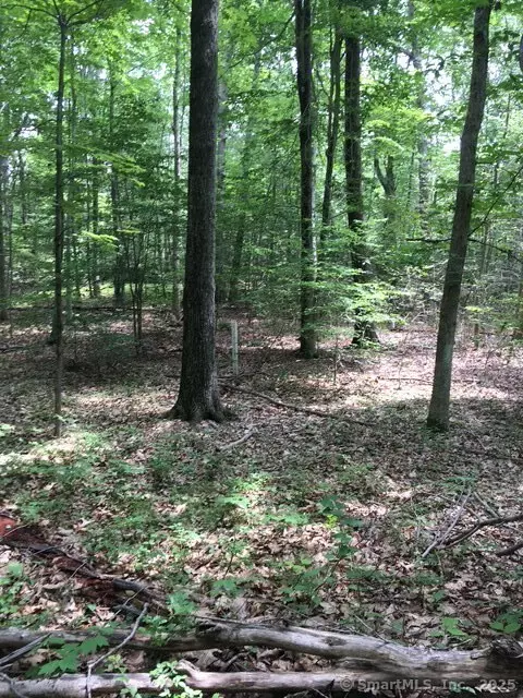 Haddam, CT 06441,Lots 1 & 2 Jackson Road