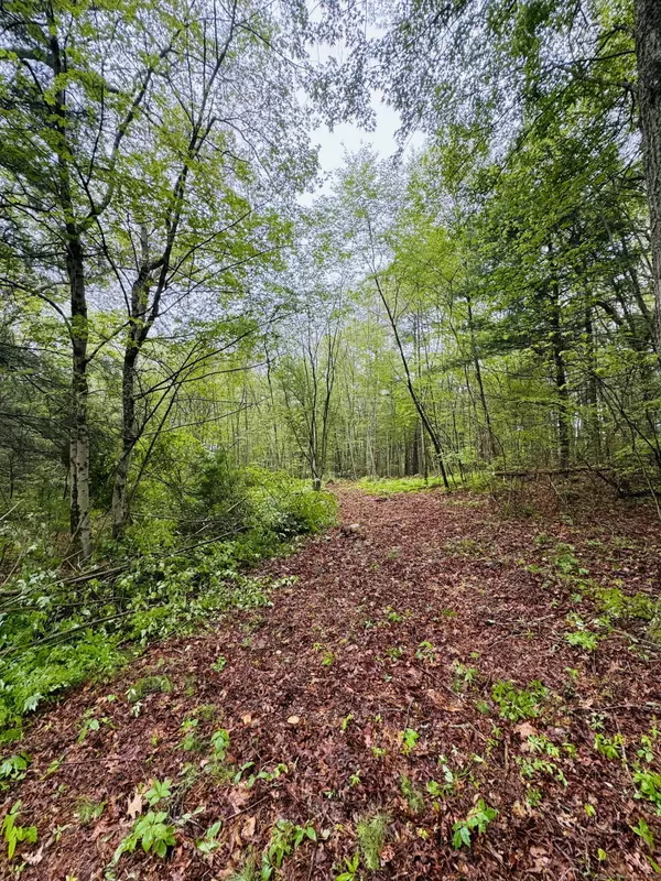 18 Ledge Hill Road, Sterling, CT 06377