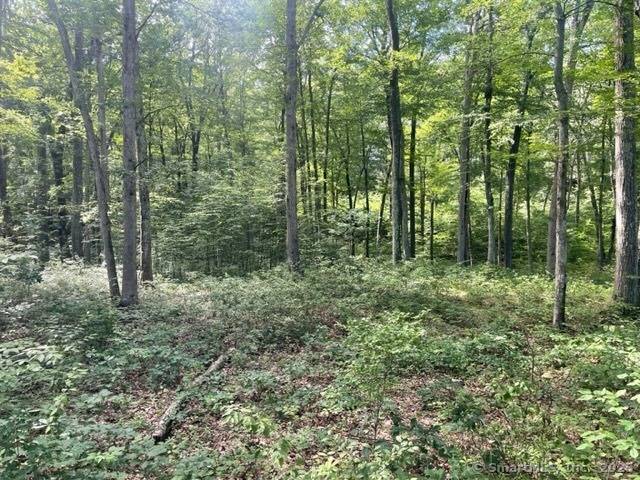 Redding, CT 06896,24 Costa Lane