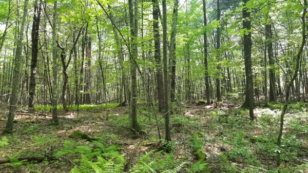 Thompson, CT 06255,Lot 169A Kapitulik Road