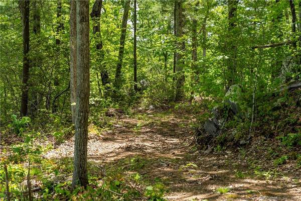Barkhamsted, CT 06063,13 Dew Road